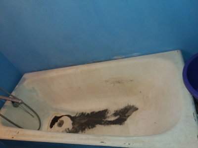 Реставрация старой чугунной ванны в Вижнице